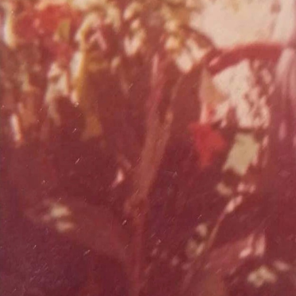 Meet your Posher, Sylvia